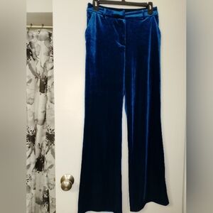 Velvet Wide-Leg Pants in Rich Blue